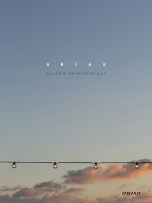 cover image of Skies